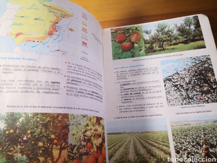 Libros de segunda mano: NATURALEZA Y SOCIEDAD, 4&deg; SM EDICIONES - Foto 4