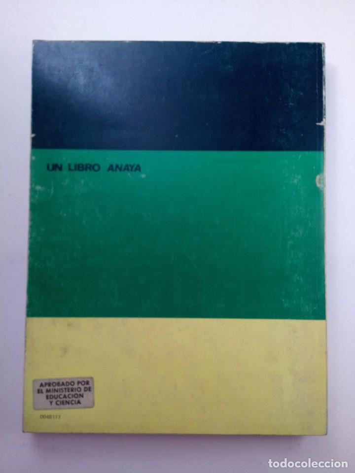 Libros de segunda mano: INGLES II - LIBRO DE CONSULTA DEL ALUMNO - ANAYA - Foto 4