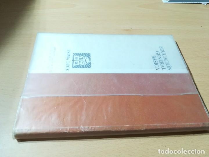 Libros de segunda mano: LENGUA 6 BASICA / PRIMA LUCE / 1976 / AB405 - Foto 3