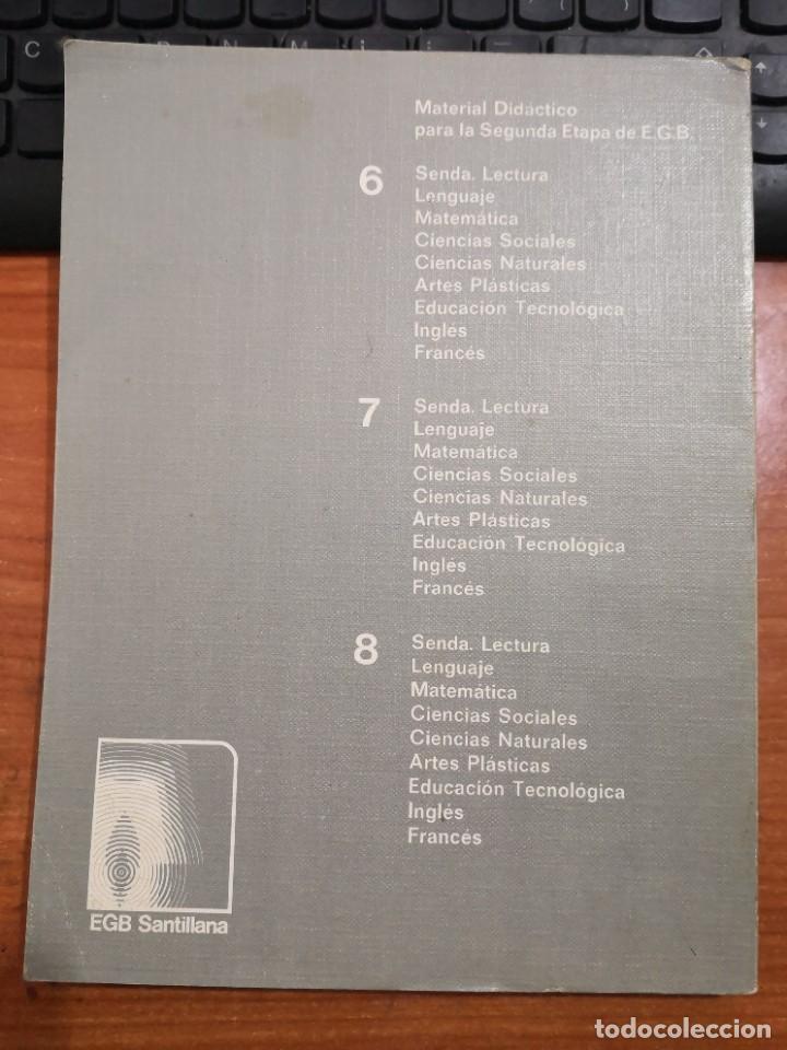 Libros de segunda mano: EXPRESI&Oacute;N PL&Aacute;STICA EGB SANTILLANA 8-LIBRO DE TEXTO-ENV&Iacute;O CERTIFICADO 5,99 - Foto 2