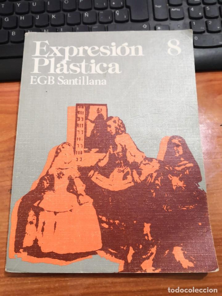 Libros de segunda mano: EXPRESI&Oacute;N PL&Aacute;STICA EGB SANTILLANA 8-LIBRO DE TEXTO-ENV&Iacute;O CERTIFICADO 5,99 - Foto 1