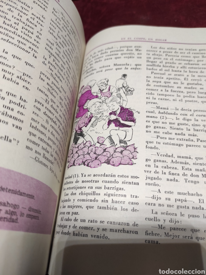 Libros de segunda mano: HOGAR libro de lectura 1962 - Foto 6