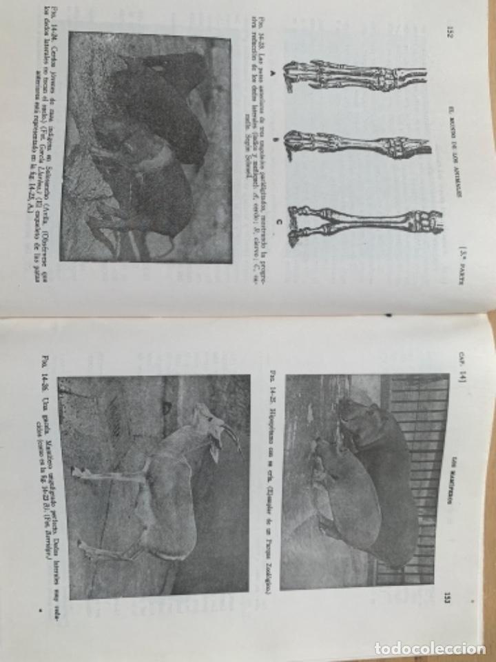 Libros de segunda mano: Ciencias Naturales, Para el bachillerato elemental (Bols 1) - Foto 4