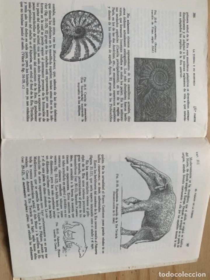 Libros de segunda mano: Ciencias Naturales, Para el bachillerato elemental (Bols 1) - Foto 6