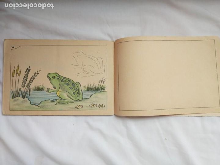 Libros de segunda mano: DIBUJO S. M. 8 - A. IBARRA - 1961 - Foto 6