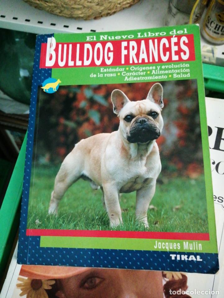 Libros de segunda mano: Libro de perros BULLDOG FRANC&Eacute;S editorial Tikal Jacques Mulin - Foto 1