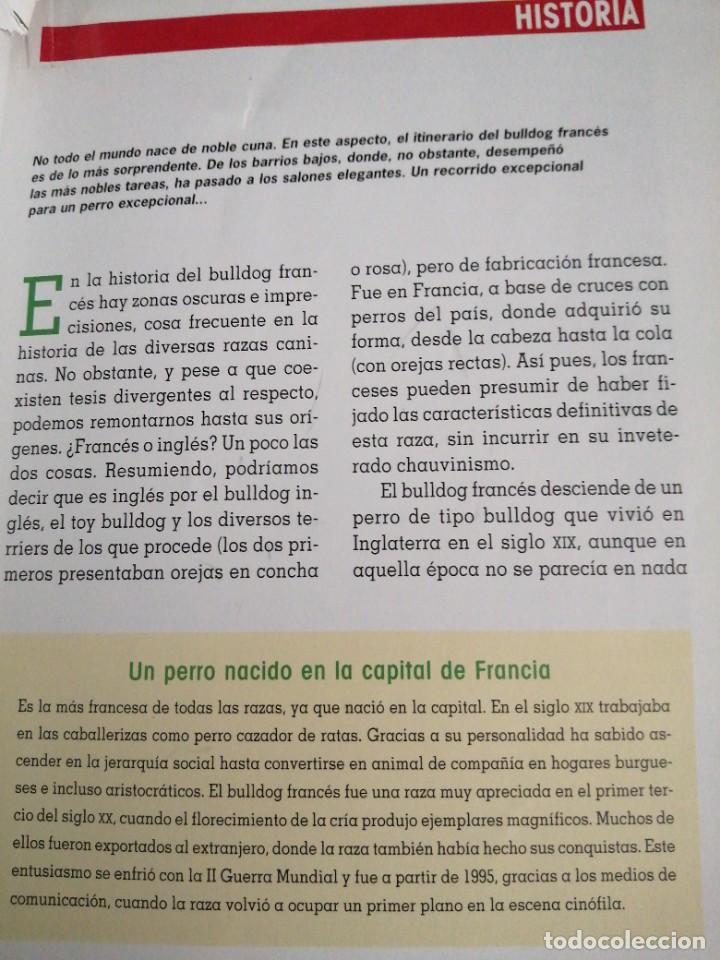 Libros de segunda mano: Libro de perros BULLDOG FRANC&Eacute;S editorial Tikal Jacques Mulin - Foto 3