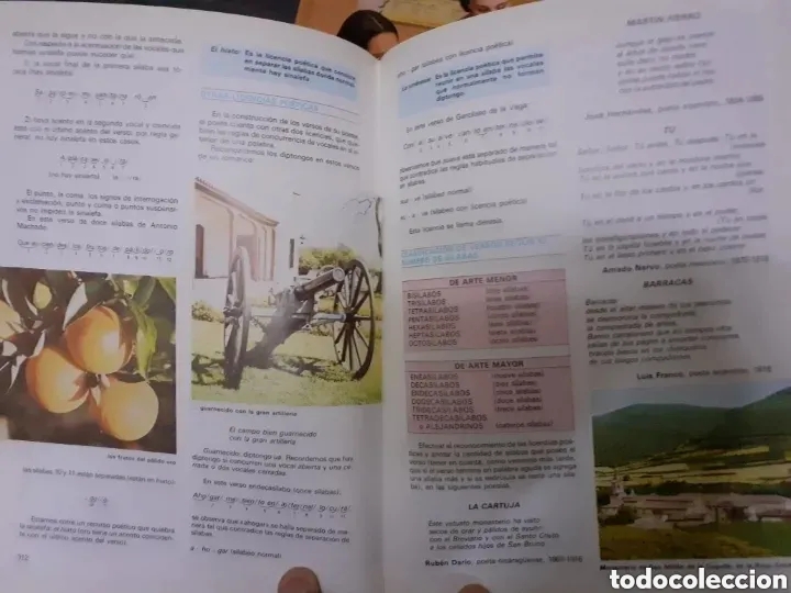Libros de segunda mano: EL MUNDO DE LA GRAMATICA - 4 TOMOS (COMPLETA) OCEANO - Foto 19
