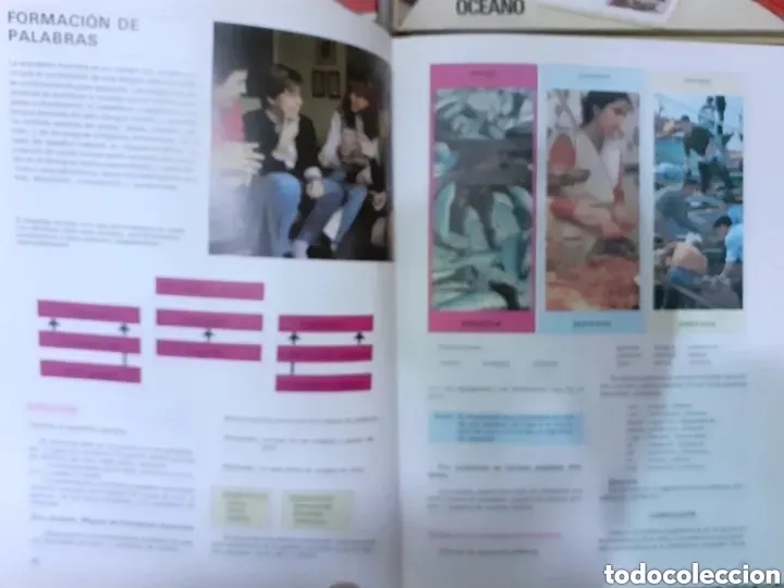 Libros de segunda mano: EL MUNDO DE LA GRAMATICA - 4 TOMOS (COMPLETA) OCEANO - Foto 21