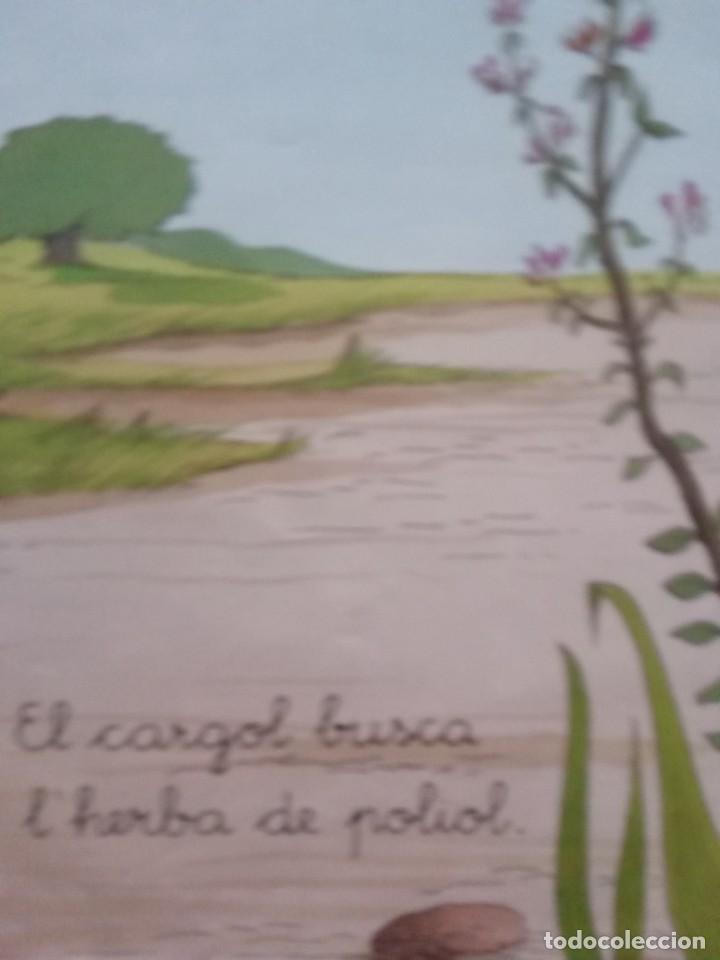 Libros de segunda mano: El Cargol.Vicens Vives. - Foto 6
