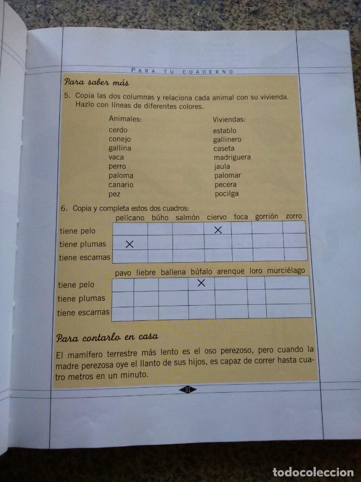 Libros de segunda mano: EL DRAGON CAMALEON -- 3&ordm; CURSO -- PRIMARIA - 2003 -- EDICIONES SM -- - Foto 3