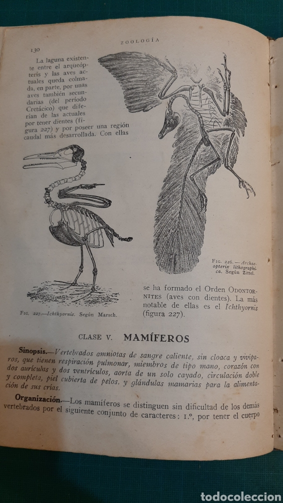 Libros de segunda mano: HISTORIA NATURAL - Foto 7