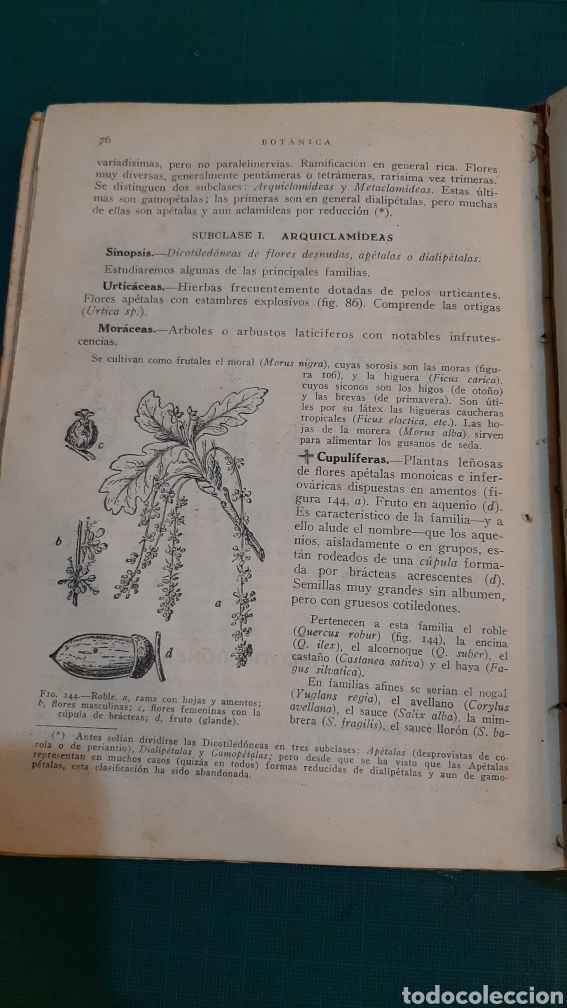Libros de segunda mano: HISTORIA NATURAL - Foto 8
