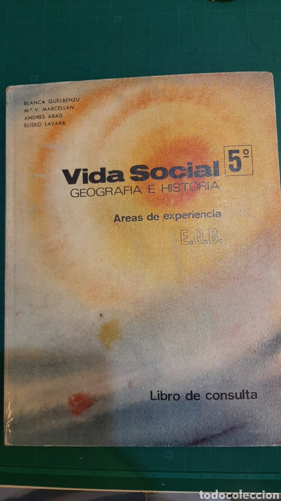 Libros de segunda mano: 1971 VIDA SOCIAL 5 EGB GEOGRAF&Iacute;A E HISTORIA BUEN ESTADO 1 EDICI&Oacute;N BSR BURGOS