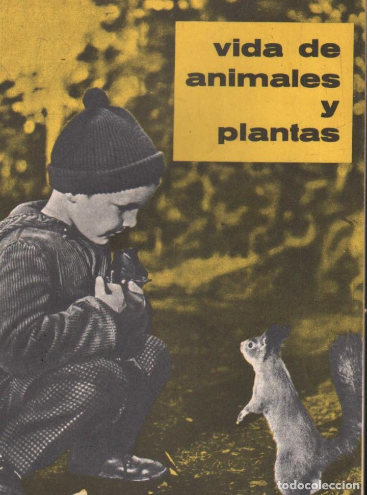 Libros de segunda mano: VIDA DE ANIMALES Y PLANTAS. A-ESC-1863 - Foto 1