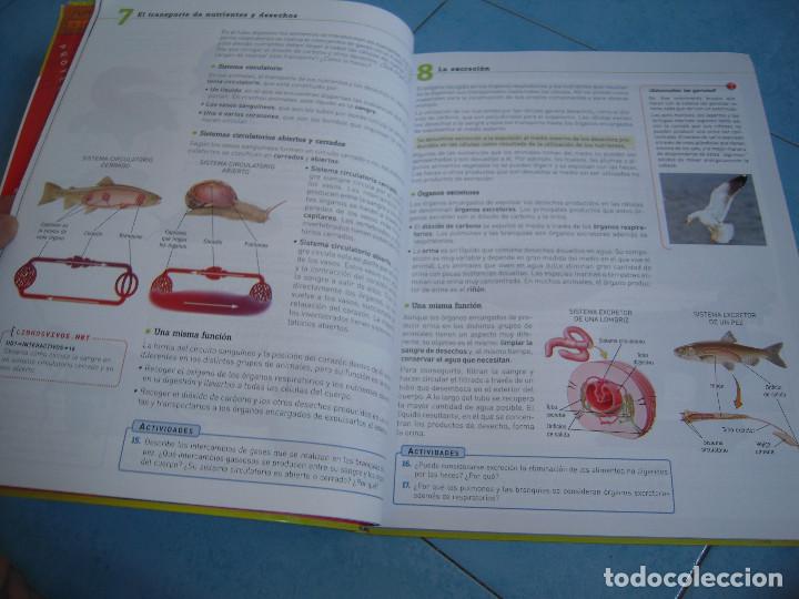 Libros de segunda mano: Ciencias de la Naturaleza 2&ordm; ESO Proyecto Conecta 2.0 - Foto 6