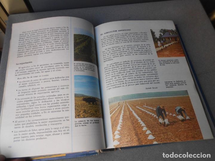 Libros de segunda mano: CONSULTOR. 6&ordm;. E.G.B. SANTILLANA - Foto 8