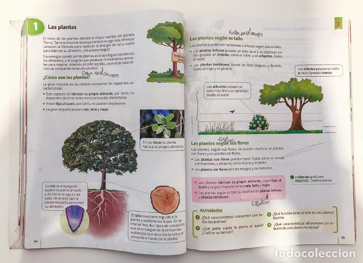 Libros de segunda mano: CIENCIAS DE LA NATURALEZA 4 PRIMARIA - LIBRO DE TEXTO - SM - Foto 4