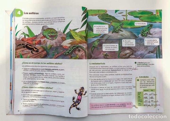Libros de segunda mano: CIENCIAS DE LA NATURALEZA 4 PRIMARIA - LIBRO DE TEXTO - SM - Foto 5