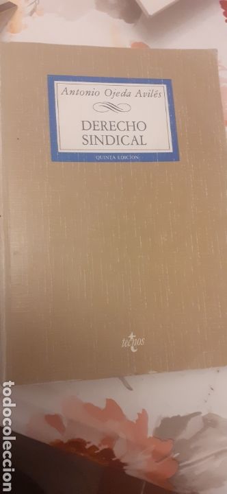 Gebrauchte B&uuml;cher: Derecho Sindical
