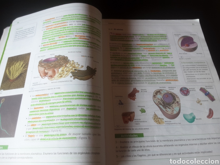 Libros de segunda mano: T&eacute;cnicas b&aacute;sicas de enfermer&iacute;a. Formaci&oacute;n profesional - Foto 8