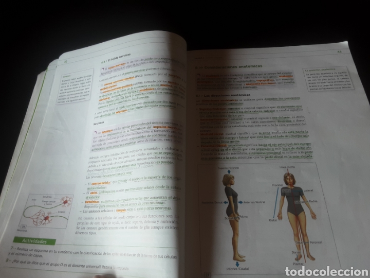 Libros de segunda mano: T&eacute;cnicas b&aacute;sicas de enfermer&iacute;a. Formaci&oacute;n profesional - Foto 9