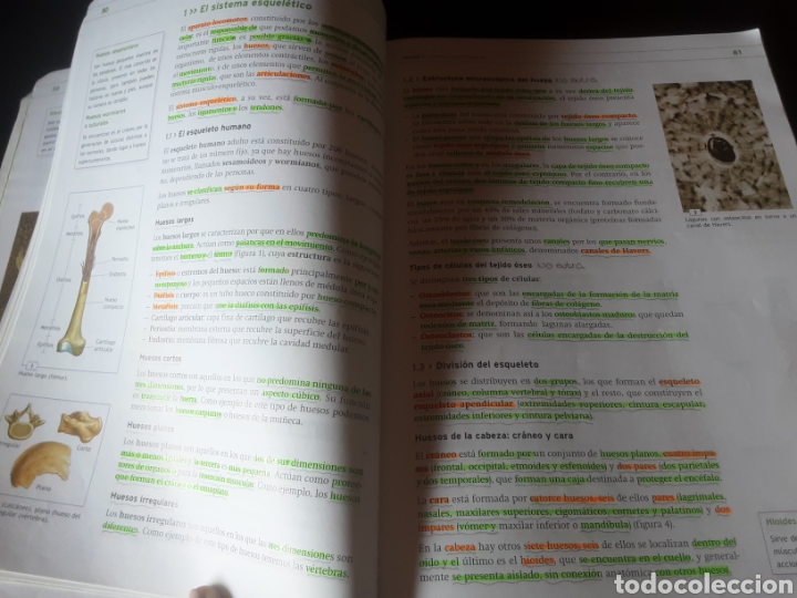 Libros de segunda mano: T&eacute;cnicas b&aacute;sicas de enfermer&iacute;a. Formaci&oacute;n profesional - Foto 11