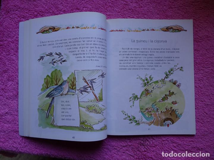 Libros de segunda mano: lectures 3 cicle mitj&agrave; deducaci&oacute; prim&agrave;ria editorial edeb&eacute; 1999 - Foto 8