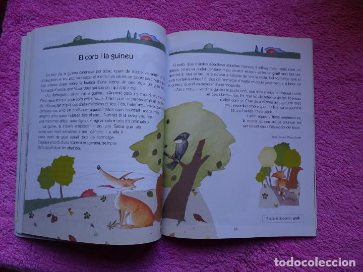 Libros de segunda mano: lectures 4 segon cicle deducaci&oacute; prim&agrave;ria editorial edeb&eacute; 2003 - Foto 9