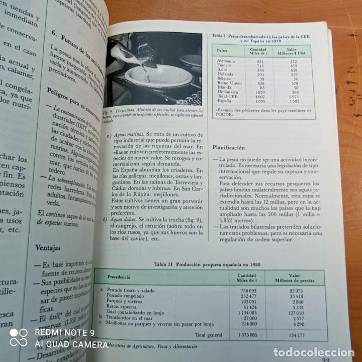 Libros de segunda mano: CIENCIAS NATURALES 1 F.P. EDICIONES EDEBE - Foto 3