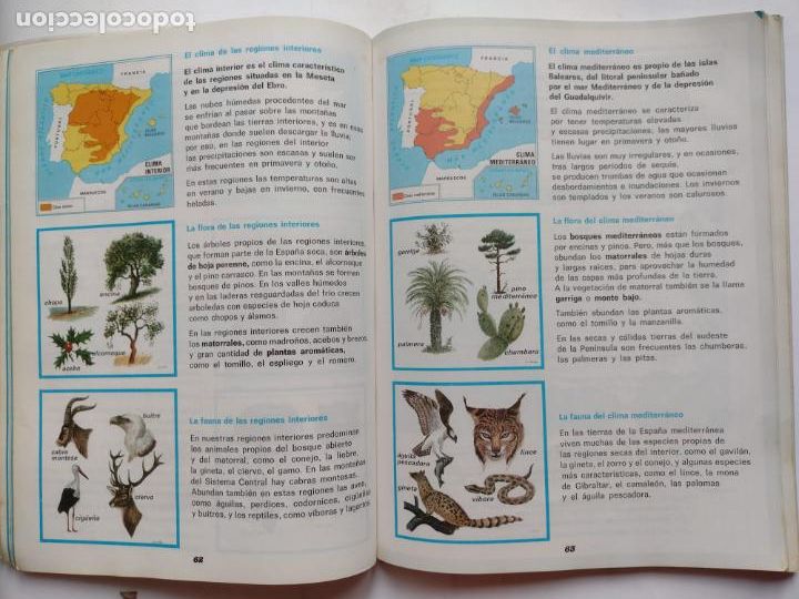 Libros de segunda mano: SOCIEDAD 5 EGB - SANTILLANA - 1982 - Foto 2