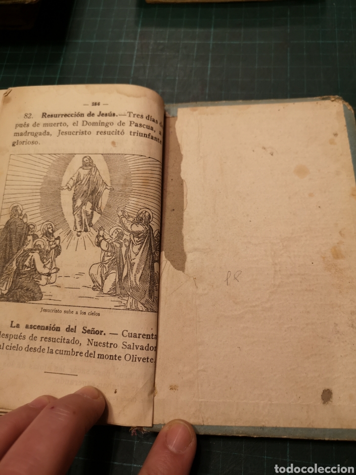 Libros de segunda mano: J. Dalm&aacute;u Carles Pla - Foto 15