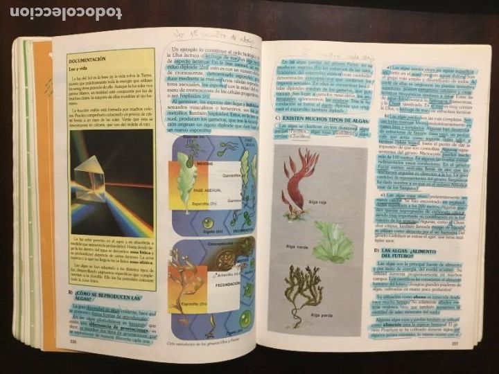 Libros de segunda mano: CIENCIAS NATURALES 1 BACHILLERATO - Foto 8