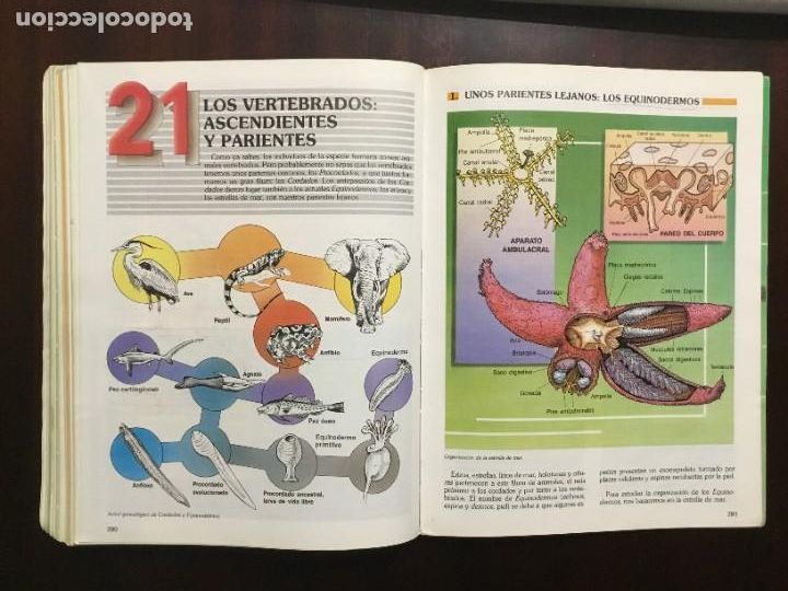 Libros de segunda mano: CIENCIAS NATURALES 1 BACHILLERATO - Foto 9
