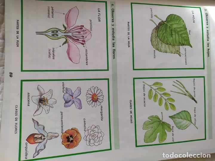 Libros de segunda mano: Libro de texto Santillana Naturaleza 3 - Foto 4