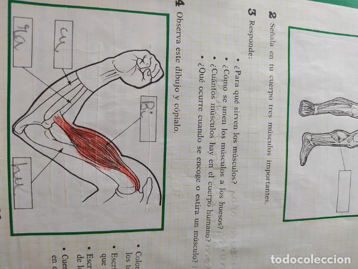 Libros de segunda mano: Libro de texto Santillana Naturaleza 3 - Foto 8