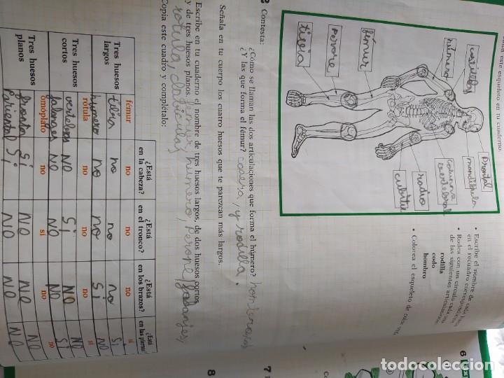 Libros de segunda mano: Libro de texto Santillana Naturaleza 3 - Foto 9