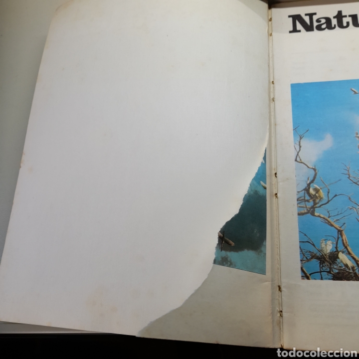 Libros de segunda mano: ANTIGUO LIBRO DE E.G.B. NATURALEZA. 5&deg; E.G.B. - Foto 2