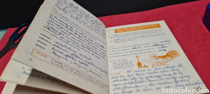 Libros de segunda mano: Interesante libro. Ejercicios de Ortograf&iacute;a Basica 5. Edelvives. - Foto 3