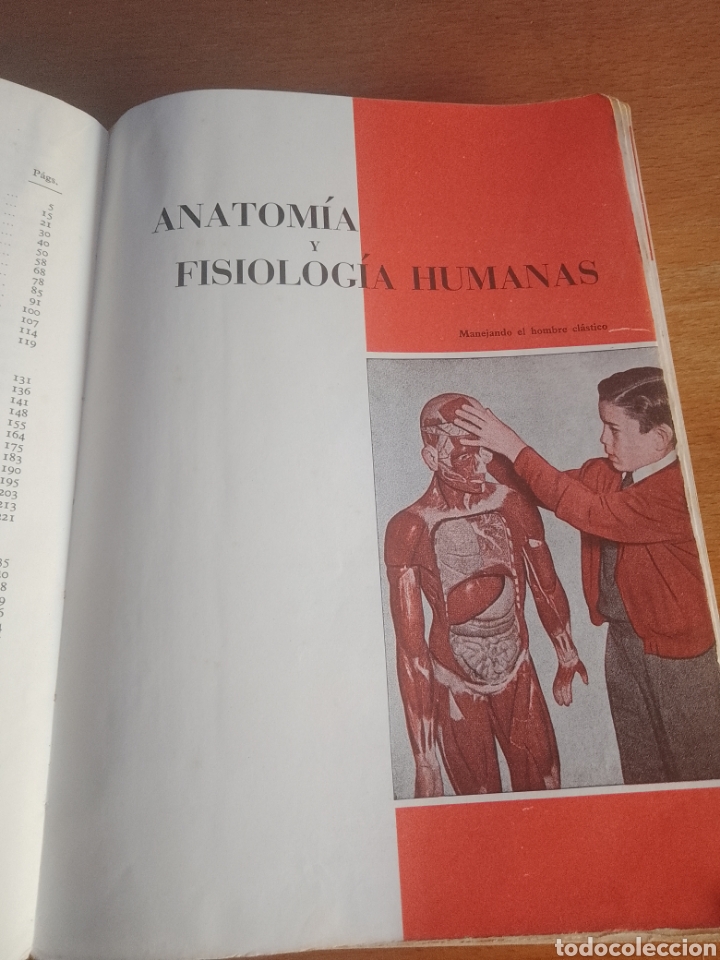 Libros de segunda mano: CIENCIAS NATURALES 3 - Foto 4