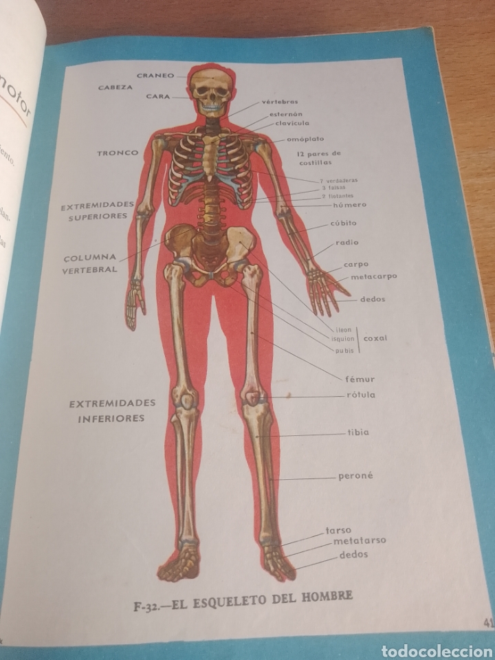 Libros de segunda mano: CIENCIAS NATURALES 3 - Foto 5