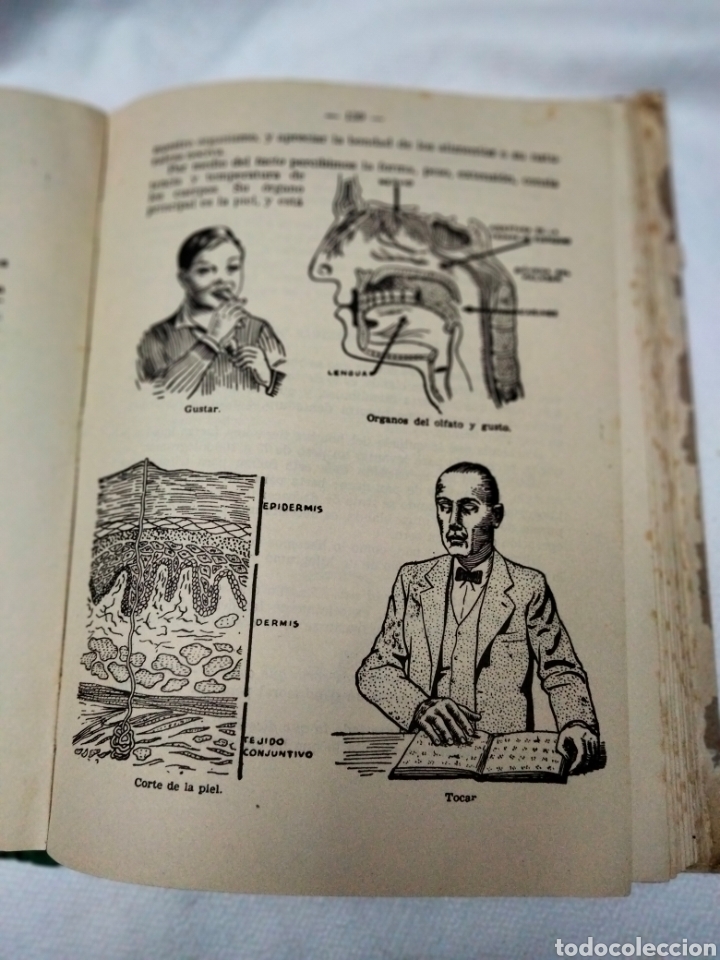 Libros de segunda mano: TESOROS DE CONOCIMIENTOS UTILES . ED BRU&Ntilde;O - Foto 8