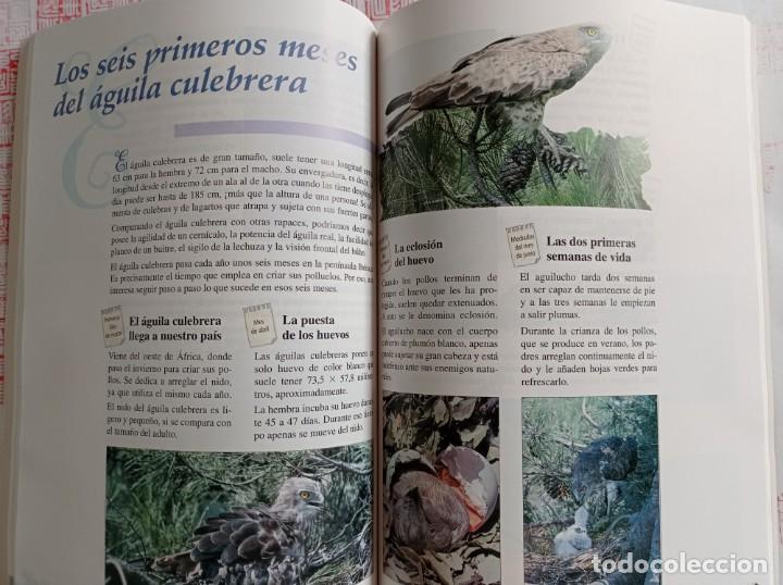 Libros de segunda mano: Cabriola 5 Primaria. Lecturas con CD. Santillana - Foto 4