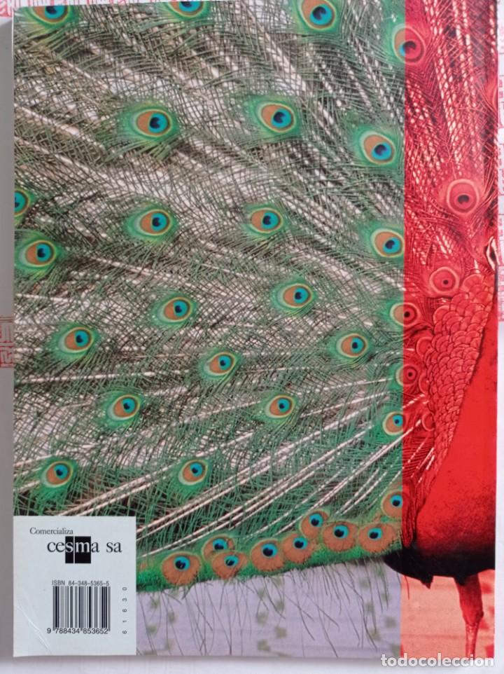 Libros de segunda mano: Pl&aacute;stica y visual cuaderno 2 secundaria. SM - Foto 3
