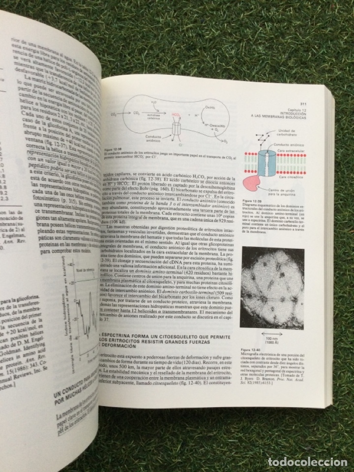 Libros de segunda mano: Bioqu&iacute;mica Tercera Edici&oacute;n Editorial Revert&eacute; - Foto 3