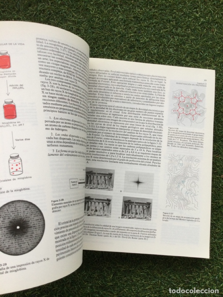Libros de segunda mano: Bioqu&iacute;mica Tercera Edici&oacute;n Editorial Revert&eacute; - Foto 4