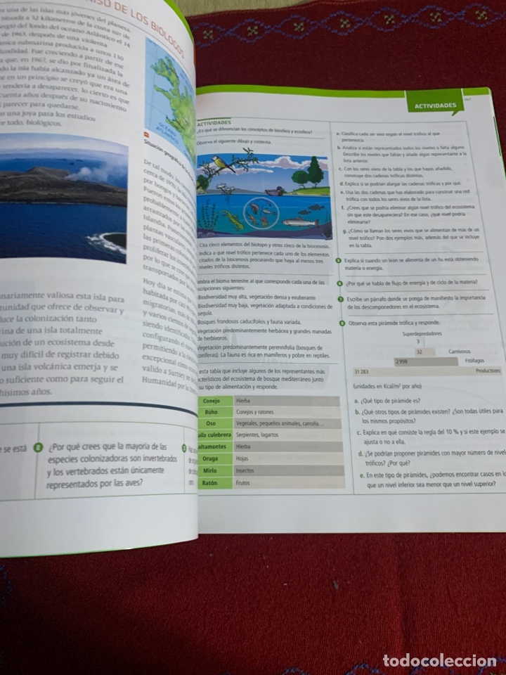 Libros de segunda mano: Ciencias de la tierra y del medioambiente. Pr&aacute;ctica. Bachillerato 2. - Foto 6