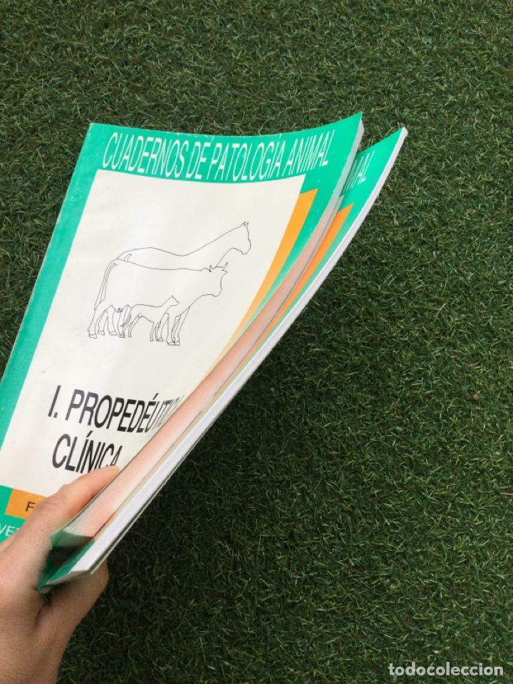 Libros de segunda mano: Cuadernos de Patolog&iacute;a Animal I y II - Foto 2