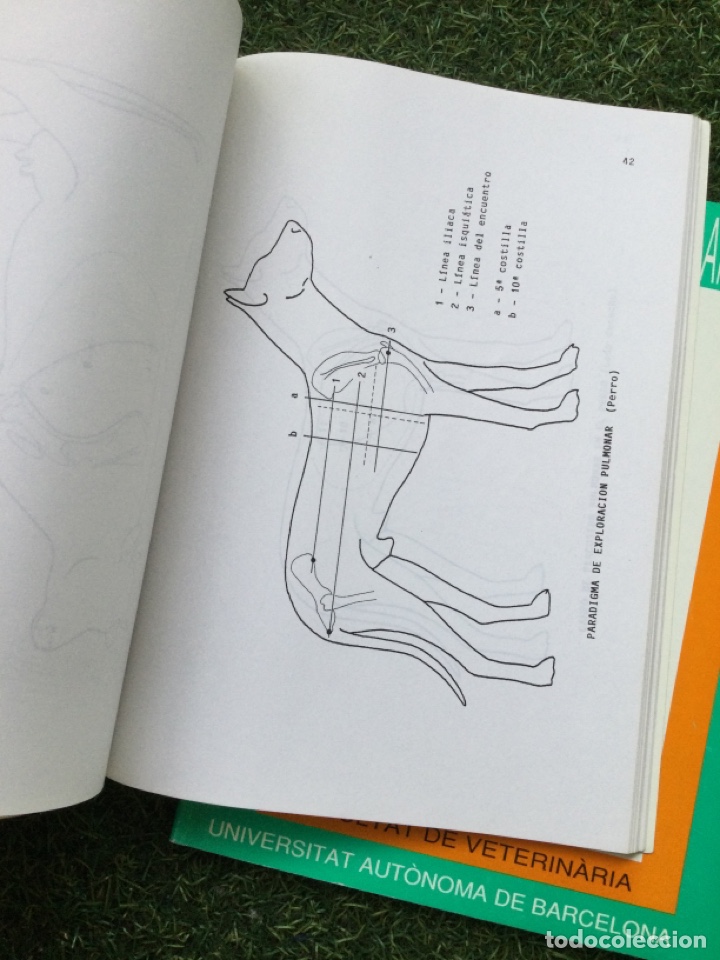 Libros de segunda mano: Cuadernos de Patolog&iacute;a Animal I y II - Foto 5