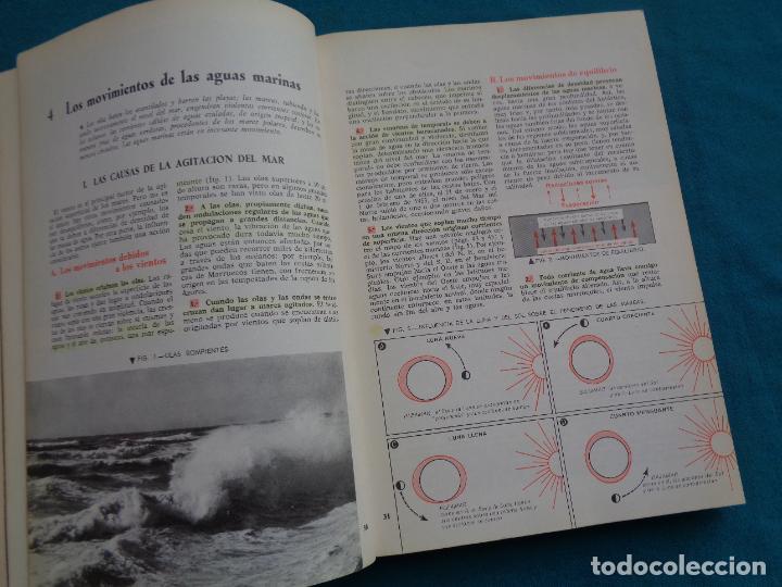 Libros de segunda mano: COMPENDIO DE GEOGRAFIA GENERAL, P. GOUROU Y L. PAPY 1979 - Foto 2